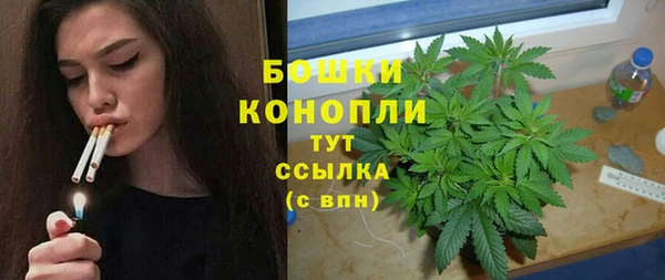 спиды Корсаков