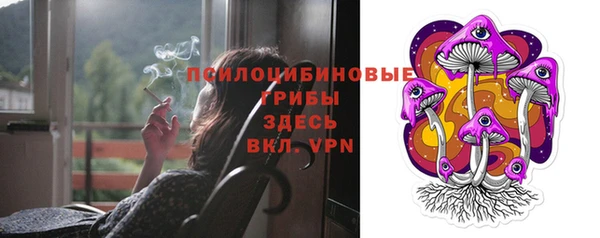 гашик Костерёво