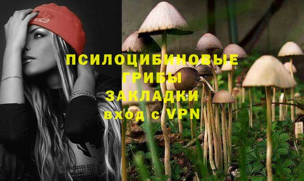 гашик Костерёво