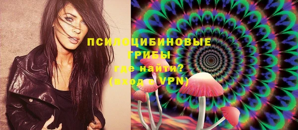 спиды Корсаков