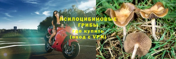 спиды Корсаков