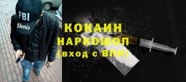 гашик Костерёво