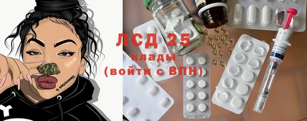 гашик Костерёво